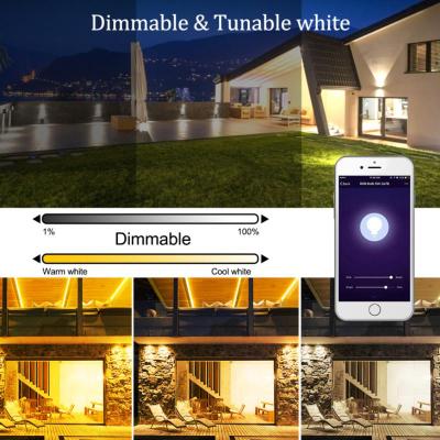 LED Floodlight Tuya Wifi Smart Spotlight Outdoor 30W 50W 100W RGB Color Changable Warm Cold Light For Alice Alexa Google Home
