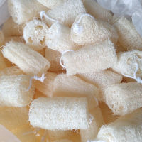 [1 อัน] ใยบวบขัดผิว ใยบวบขัดตัว ตัดท่อน ยาว Natural Loofah Sponge