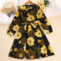 2023 New Style Big Flower Spring Autumn Girls Dress Full Sleeve Princess Dresses For 6-12 Years Old Kids Birthday Present  by Hs2023