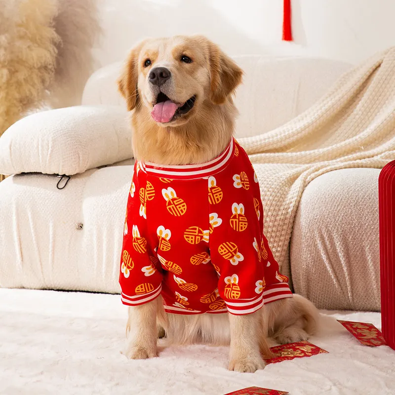 Clothes Golden Retriever  Dog Clothes Golden Retriever