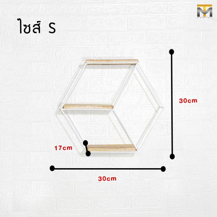 mt-design-ชั้นวางของติดผนัง-สไตล์-minimal-ชั้นแขวนติดผนัง-ชั้นวางรูปหกเหลี่ยม-ชั้นว่างของโครงสร้างเหล็ก-ทนทาน-น้ำหนักเบา-รุ่น-mt010