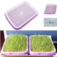 Microgreens Tray Hydroponic Sprouting Tray For Sprouts 2nd Layer White Mesh Plastic Durable Sprouting Tray Plant Supplies