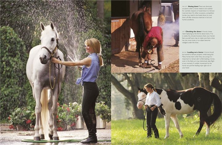 complete-horse-care-manual-english-original-complete-horse-care-manual