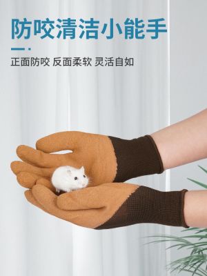 High-end Original anti-bite gloves for hamster supplies for children small pets catch sea anti-scratch laboratory parrot anti-bite animal cat bite