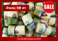 อ้อยสุพรรณบุรี 50 อ้อยสำหรับคั้นน้ำ ขายเป็นข้อตา คัดข้อตาที่สวยๆตาอ่อนพร้อมงอกส่งลูกค้า 50 ข้อตา