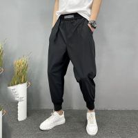 NGHG MALL-Cool internet celebrity pants with the same style, mens ruffian and handsome Korean version, loose fitting Harun trend, versatile 9-point casual pants for men