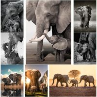 Wildlife Elephant Family Posters Canvas Painting Animal Father Mother Baby Love Wall Art Picture For Modern Room Home Decoration Wall Décor