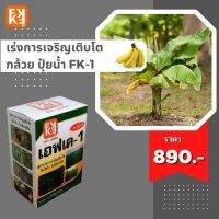 ปุ๋ยน้ำ เร่งการเจริญเติบโต เพิ่มผลผลิต กล้วย ประสิทธิภาพสูง FK-1 เร่งโต FK-3 ขยายขนาดผล สำหรับพืชออกผลทุกชนิด โดย FK