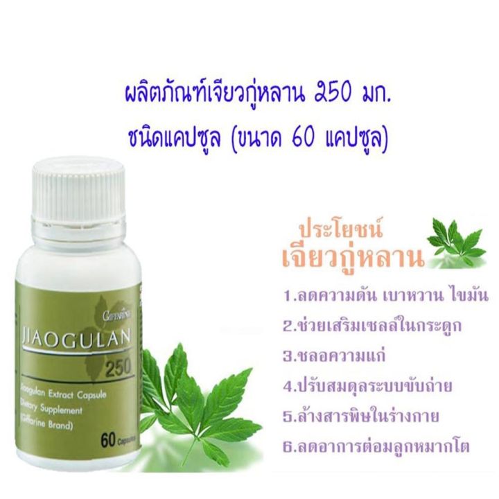 ส่งฟรี-เจียวกู่หลาน-กิฟฟารีน-เจียวกู่หลานแคปซูล-สารสกัดจากเจียวกู่หลาน-ชนิดแคปซูล-giffarine-jiaogulan