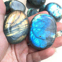 Fast shipping East China Sea natural labradee is a famous foreign brand moon tree.