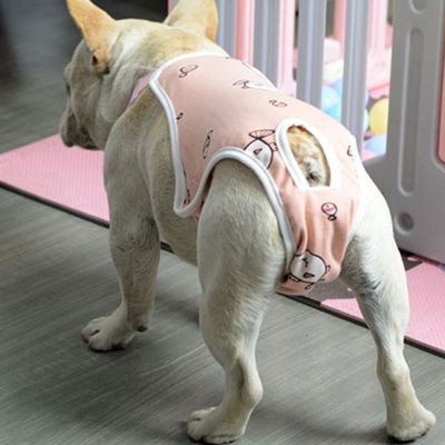 กางเกงอนามัยสำหรับสุนัขขนาดเล็กและขนาดกลางกางเกงสำหรับสุนัขตัวเมียกางเกงชุดชั้นในแบบซักผ้าได้อนามัย