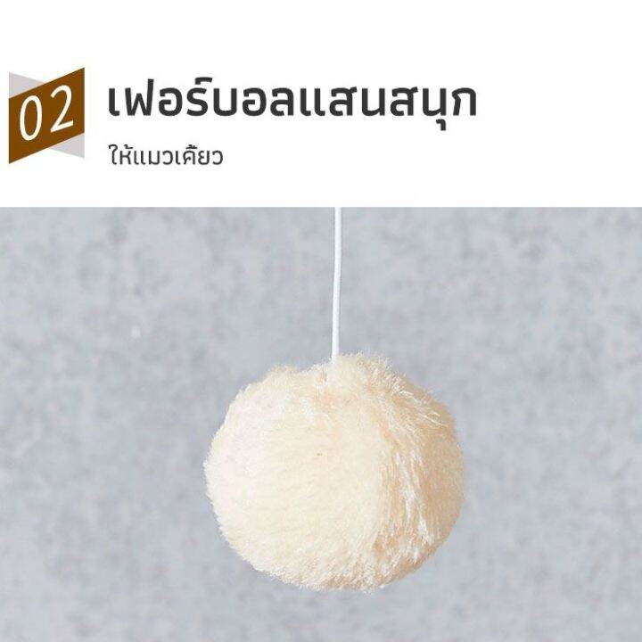 p-p-คอนโดแมว-คอนโดแมวลดราคา-คอนโดแมวถูกๆ-คอนโดแมวใหญ่-คอนโดแมวมีหลุม-คอนโดแมวไม้-คอนโดแมวอวกาศ-คอนโดแมวหลุมใส-คอนโดแมวแบบไม้