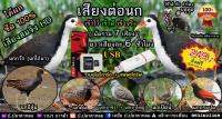 เสียงต่อนก มัดรวม7ชนิด (ยาวเสียงละ6ชั่วโมง) รับประกันของแท้ ใช้ได้นาน ต่อเข้าเร็ว