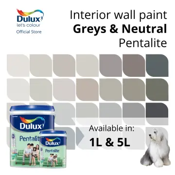 Buy Dulux Paint in SG January, 2024