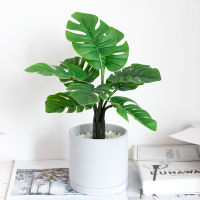 【cw】Artificial Simulation Fake Plant Green Turtle Back Thick Root Rain Leaves Good Quality Living Room Balcony Room Decoration ！