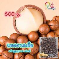 ลดราคา!! แมคคาเดเมีย พร้อมส่ง (ปริมาณ500g) อบพร้อมทาน เต็มเม็ด (แถมที่แกะเปลือก) หวาน มัน หอม อร่อย ธัญพืชเพื่อสุขภาพ