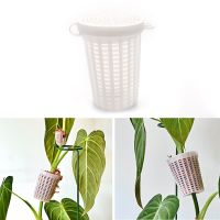 Climbing Plant Indoor Plant Support Extension Pole Stick Climbing Creepers Moss Food Storage  Dispensers