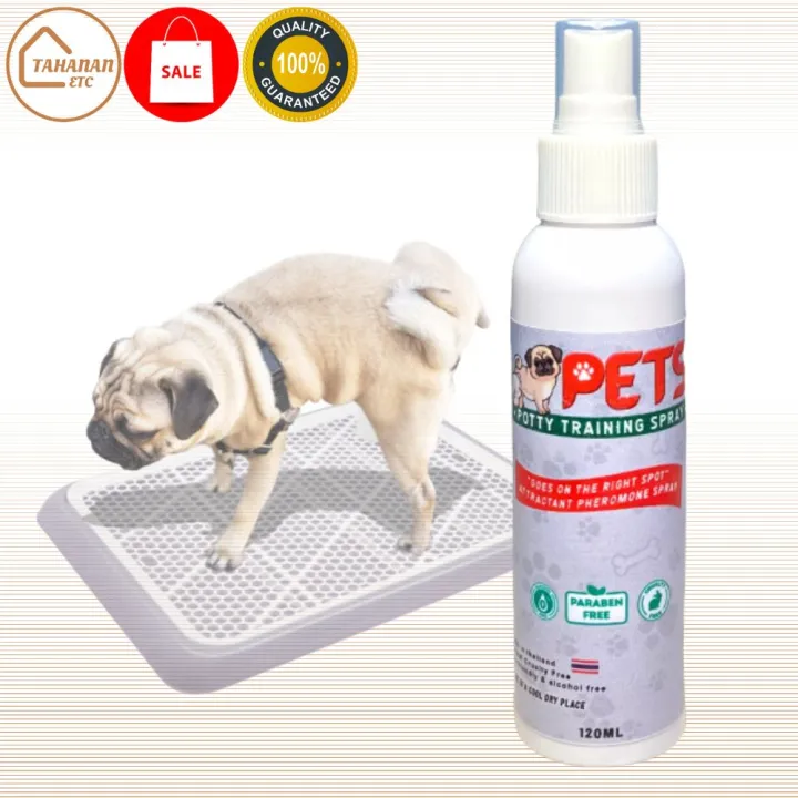 120ml Pets Potty Training Aid Spray Attractive Scent Helps Train Pet