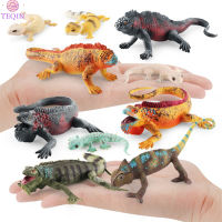 TEQIN new Simulation Wild Reptile Animals Action Figures Lifelike Lizard Model Figurines Kids Cognitive Educational Toys โมเดล ของเล่นเสริมพัฒนาการเด็ก ชุดคอลเพลย์ ของเล่นเด็ก