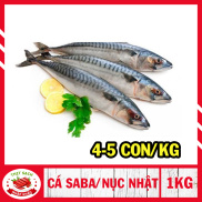 HỎA TỐC 2H - HCM  Cá nục Nhật cá saba Nhật - Đóng hút chân không 1kg  Làm