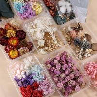 Dried Flower Box Festival Party Aromatherapy Candle Flowers For Epoxy Pendant Necklace Jewelry Making Craft DIY Accessories