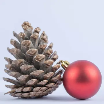 Christmas Pinecone Ornaments Natural Big Pine Cones Christmas Tree