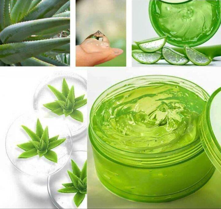 NHA ALOE VERA CURACAO ALOE VERA GEL 30g Lazada.co.th