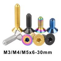 Weiqijie Titanium Bolt M3/M4/M5 X 6 8 10 12 15 20 25 30mm Hex Socket Countersunk Head Screw for Bicycle Accessories Nails Screws Fasteners