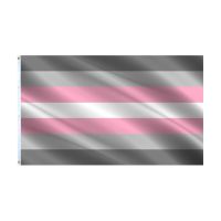 3x5 Ft Demigirl Pride Flag Demi Girl Woman LGBT Gray Flags Electrical Connectors