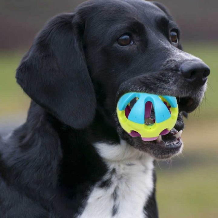 ลูกพลาสติกกลวงของเล่นลูกบอลสุนัขพร้อมกระดิ่งภายในของเล่นสุนัขสีสันแบบโต้ตอบ-yy-ร้านค้า