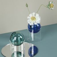 Glass Vase Hydroponic Color Round Vase Home Decoration Living Room Decoration Mini Glass Vase Desktop Ornaments xqmg Home Decor