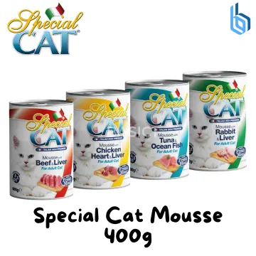 Odorless wet 2025 cat food