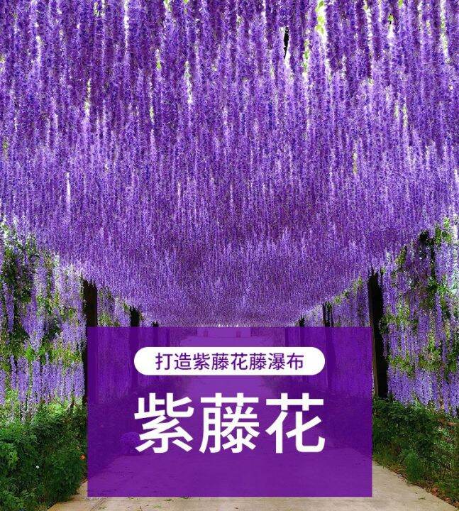 ทางเดิน-wisteria-จำลองที่แขวนอยู่กับดอกไม้ประดิษฐ์-ตกแต่งห้องนั่งเล่น-ดอกไม้พลาสติก-เถาวัลย์-ใบไม้สีเขียว-เถาวัลย์และ-wisteriahuilinshen-เข้ารหัส