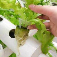 ；【‘； DIY Home Garden Balcony Vegetable Planter Agricultural Greenhouse Indoor Vertical PVC Pipe NFT Hydroponic Grow System