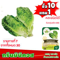 (ซื้อ10แถม1 ฟรีคู่มือ) เมล็ดพันธุ์ กรีนมินิคอส GREEN MINICOS  0.5กรัม (ประมาณ 500เมล็ด) เบบี้คอส ทำมะชาดฟาร์ม ผักสลัด เมล็ดพันธุ์สลัด เมล็ดสลัด