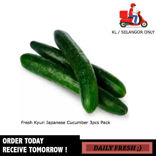 Fresh Kyuri Japanese Cucumber Timun 3pcs Pack Fresh Vegetables Lazada