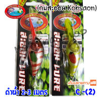 ดำน้ำ 2-3 เมตร กบสะออน kobsaoon