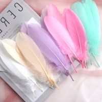 50pcs Crafts Feathers Wedding Feather Plumes Jewelry Making Accessories 15-20cm