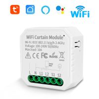 【YD】 Tu ya WIFI Curtain Module and Assistant for