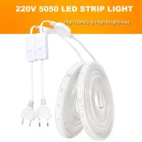 Led Tape 220V With Switch Waterproof Strip Lights 1-24M Led Ribbon For Kitchen Room 60Leds/M Warm White Red Green Blue Eu Plug LED Strip Lighting