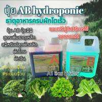 ?ปุ๋ยไฮโดรโปนิกส์ ปุ๋ยAB ปุ๋ยน้ำ ปุ๋ยผักสลัด สำหรับปลูกผัก Hydroponics ขนาด1000ML New สูตรเข้มข้น?