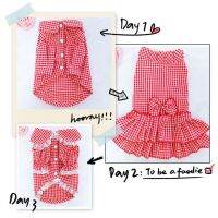 Dog Clothes Spring Summer Autumn Checker Shirt Dress Set Teddy Bomei Bears Schnauzer Cat Pet Wholesale Dresses