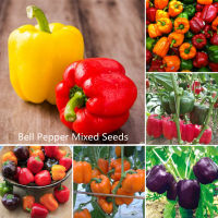 ปลูกง่าย ปลูกได้ทั่วไทย ของแท้ 100% 50pcs พริกหยวก เมล็ดพันธุ์ Bell Pepper Mixed Seeds for Sale Bonsai Vegetable Seeds เมล็ดพันธุ์ผัก อัตราการงอกสูง คุณค่าทางโภชนาการที่ดีต่อสุขภาพและสูง พันธุ์ไม้หายาก เมล็ด Plants Seeds for Home &amp; Garden Planting