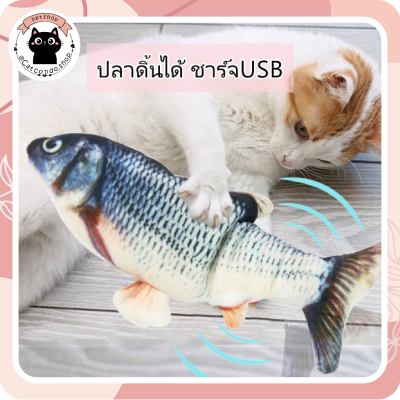 ❤️ปลาcatnip ปลาดิ้น ปลาUSB ของเล่นแมว ปลาแมว❤️