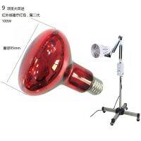 Fengrun Electric Light Source Far Infrared Physiotherapy Beauty Health Bulb Magic Lamp Hard Waterproof Explosion-proof R95 Red