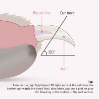 ที่ตัดเล็บสัตว์เลี้ยงกันจอนกรงเล็บแมวระยะเวลาในการออกแบบตามหลักสรีรศาสตร์นานทุ่นเเรงมืออาชีพพร้อมไฟ LED สำหรับแมว