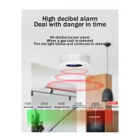 Kitchen Gas Leak Detector Household Solenoid Valve Combustible Gas Alarm Support APP Remote Alarm