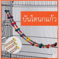 บันไดนกแก้ว ของเล่นนกแก้ว นกแก้วขนาดเล็ก บันไดของเล่นหลากสี