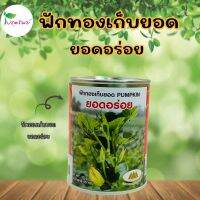 เมล็ดพันธุ์ฟักทองยอดอร่อย  ขนาด 50 กรัม ตราภูเขาทอง