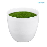 ♈▲ Tworsen Round Plastic Simulation Flower Pot Succulent Plant Flowerpot Home Office Decor